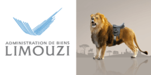 Limouzi-foncia